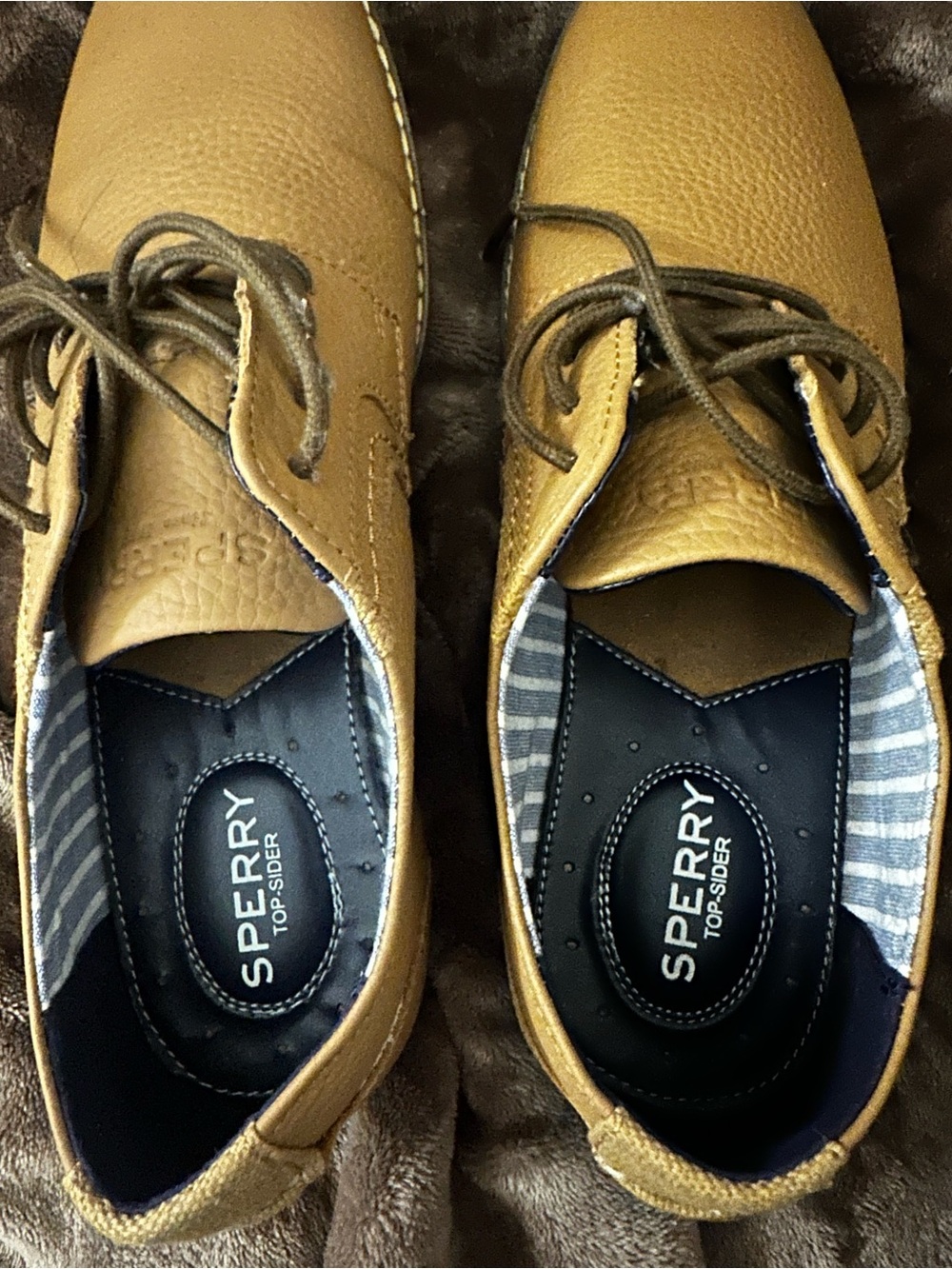 Sperry Men's Brown Lace-Up Boat Shoes